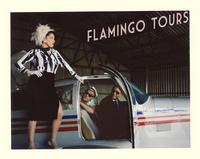 FLAMINGO TOURS