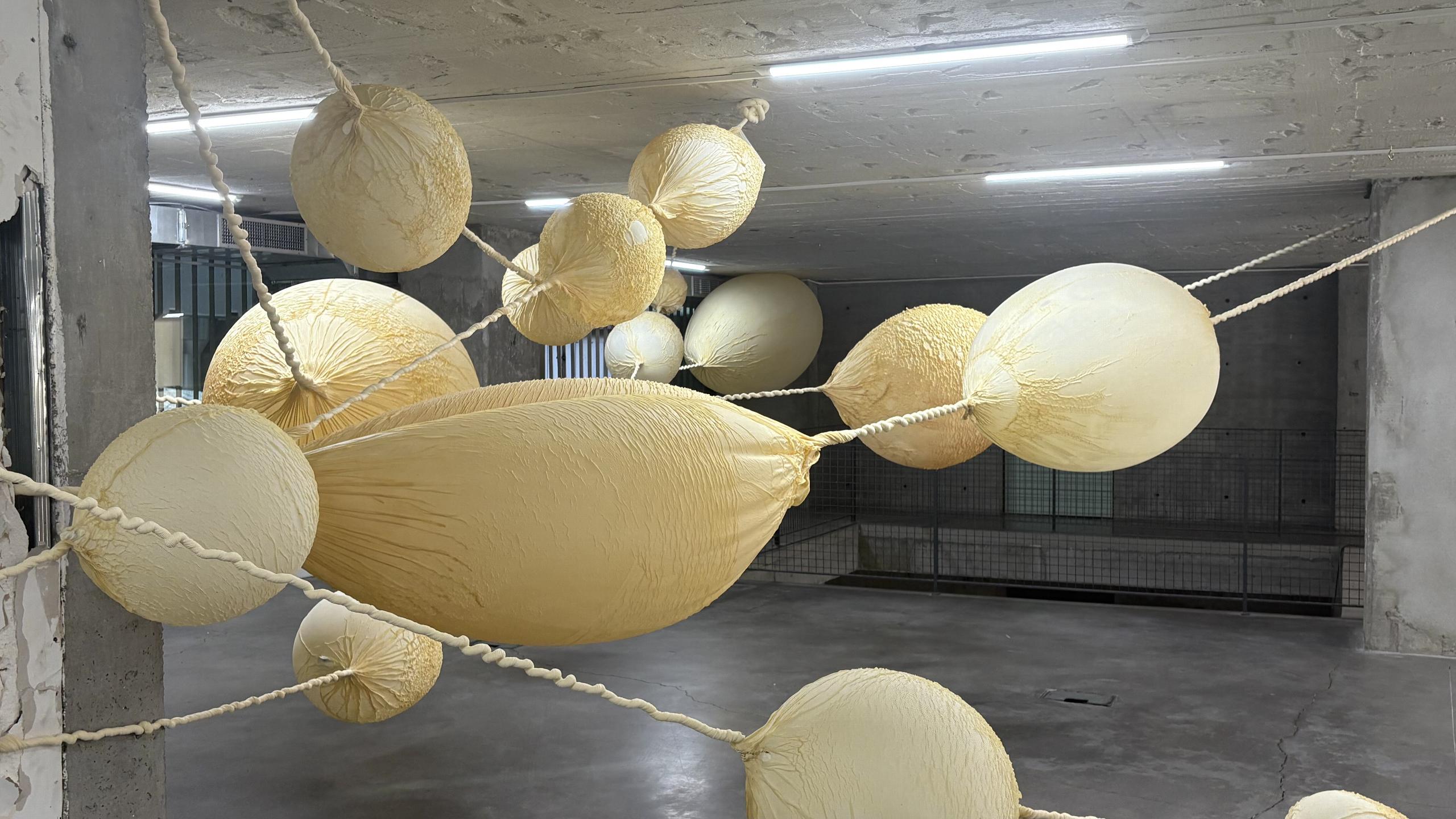 Exudates. Eva Fàbregas