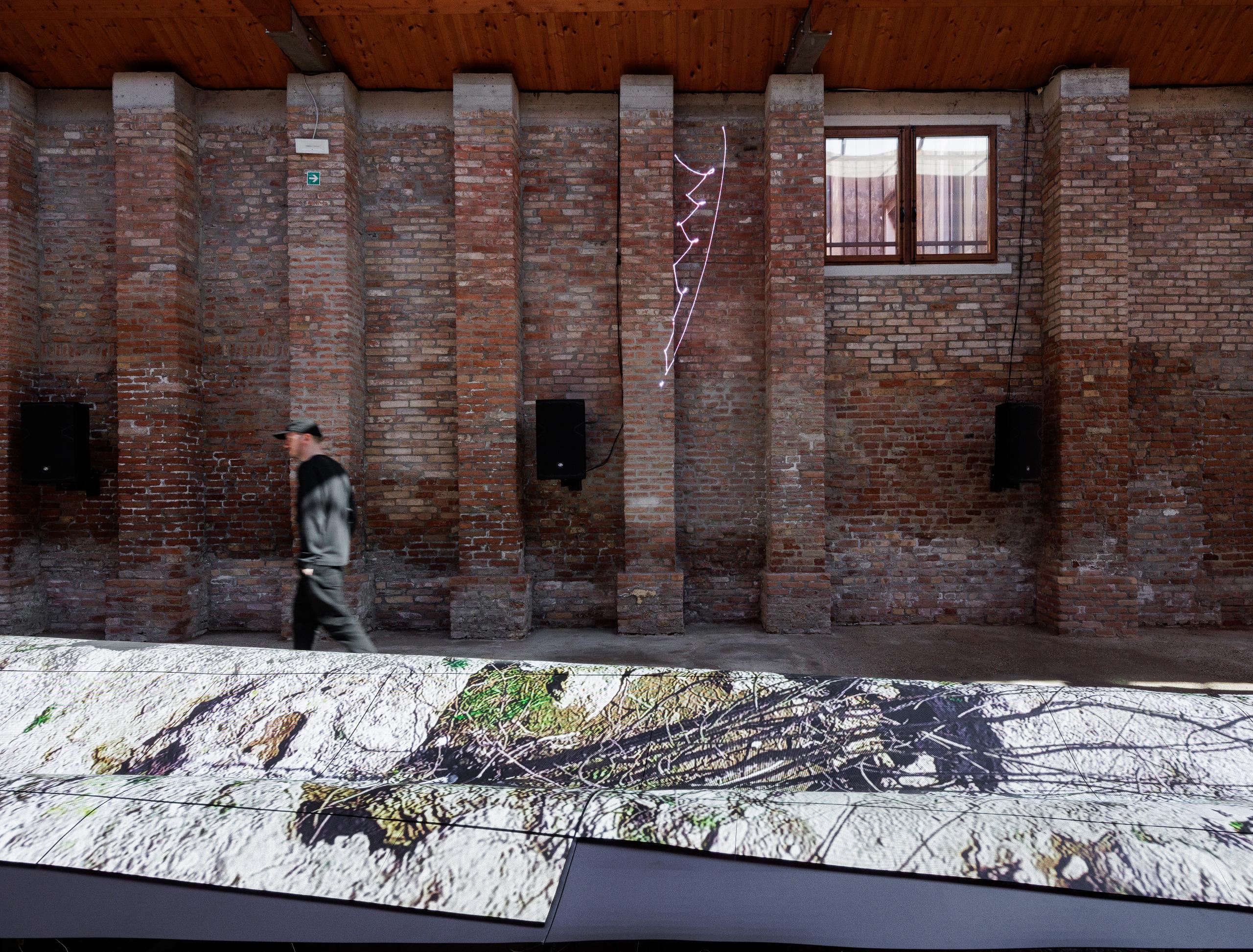 S’inaugura a Venècia l’exposició Paper Tears, de Claudia Pagès Rabal: la participació catalana a la Biennal d’Art 2026