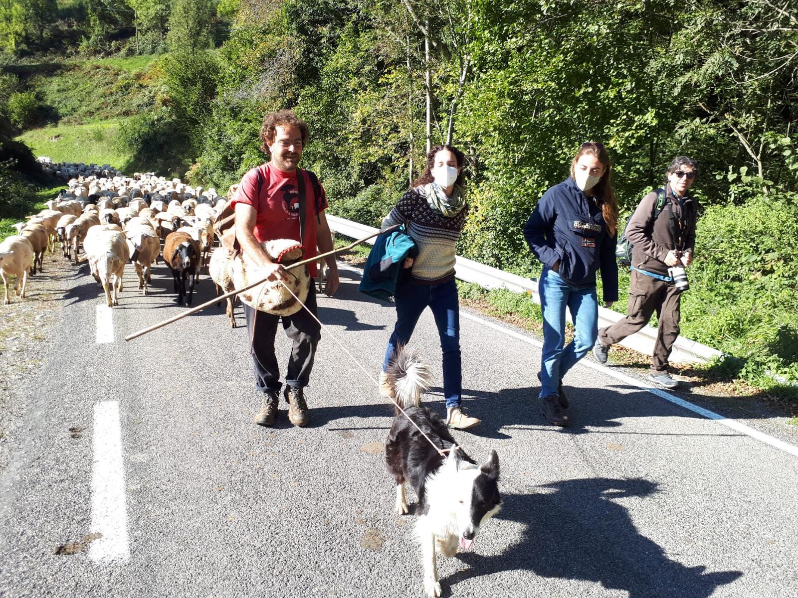 Sunday, October 18, some residents  went to visit the Toti Juanola's red sheep flock