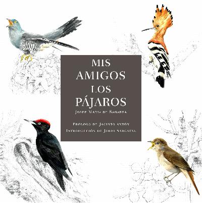 Mis amigos los pájaros : 