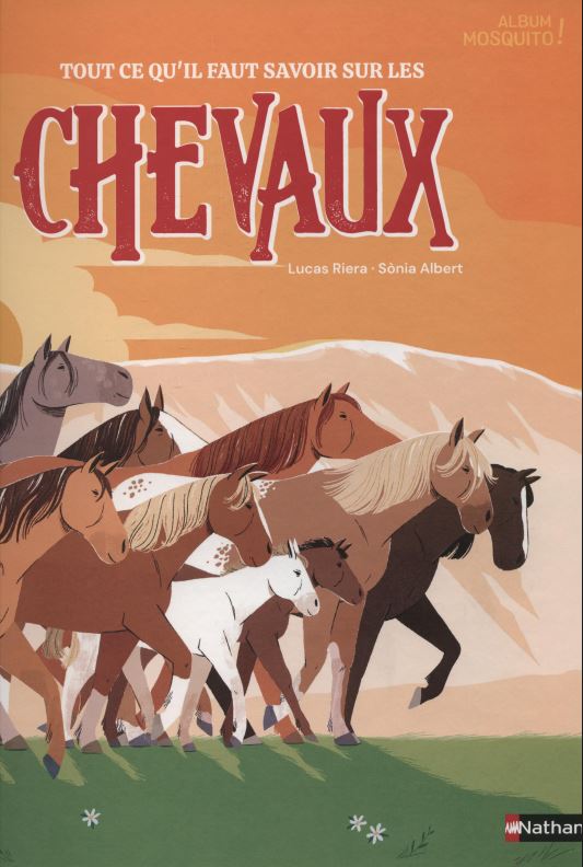 Tout ce qu'il faut savoir sur les chevaux