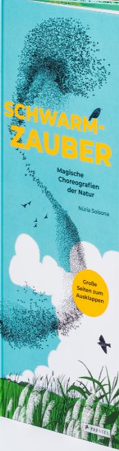 Coreografies animals