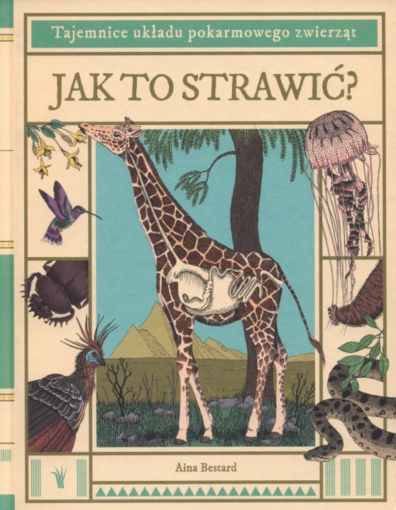 Jak to Strawić?