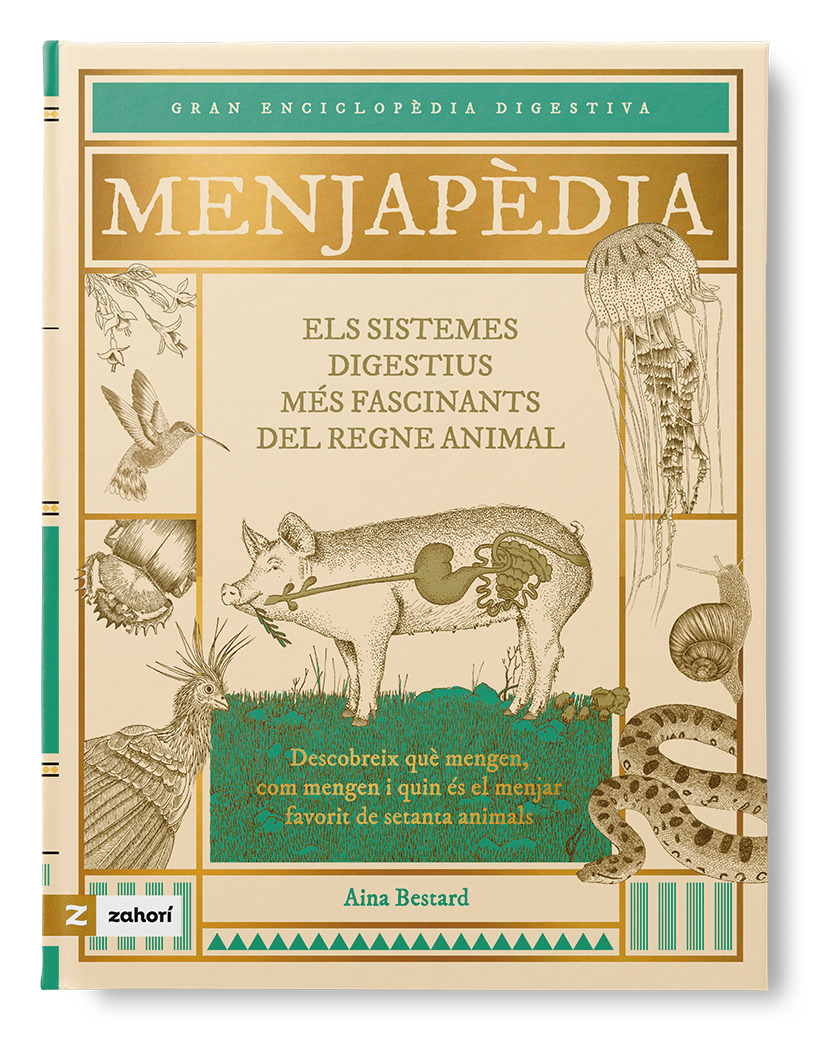 Menjapèdia. Els sistemes digestius més fascinants del regne animal