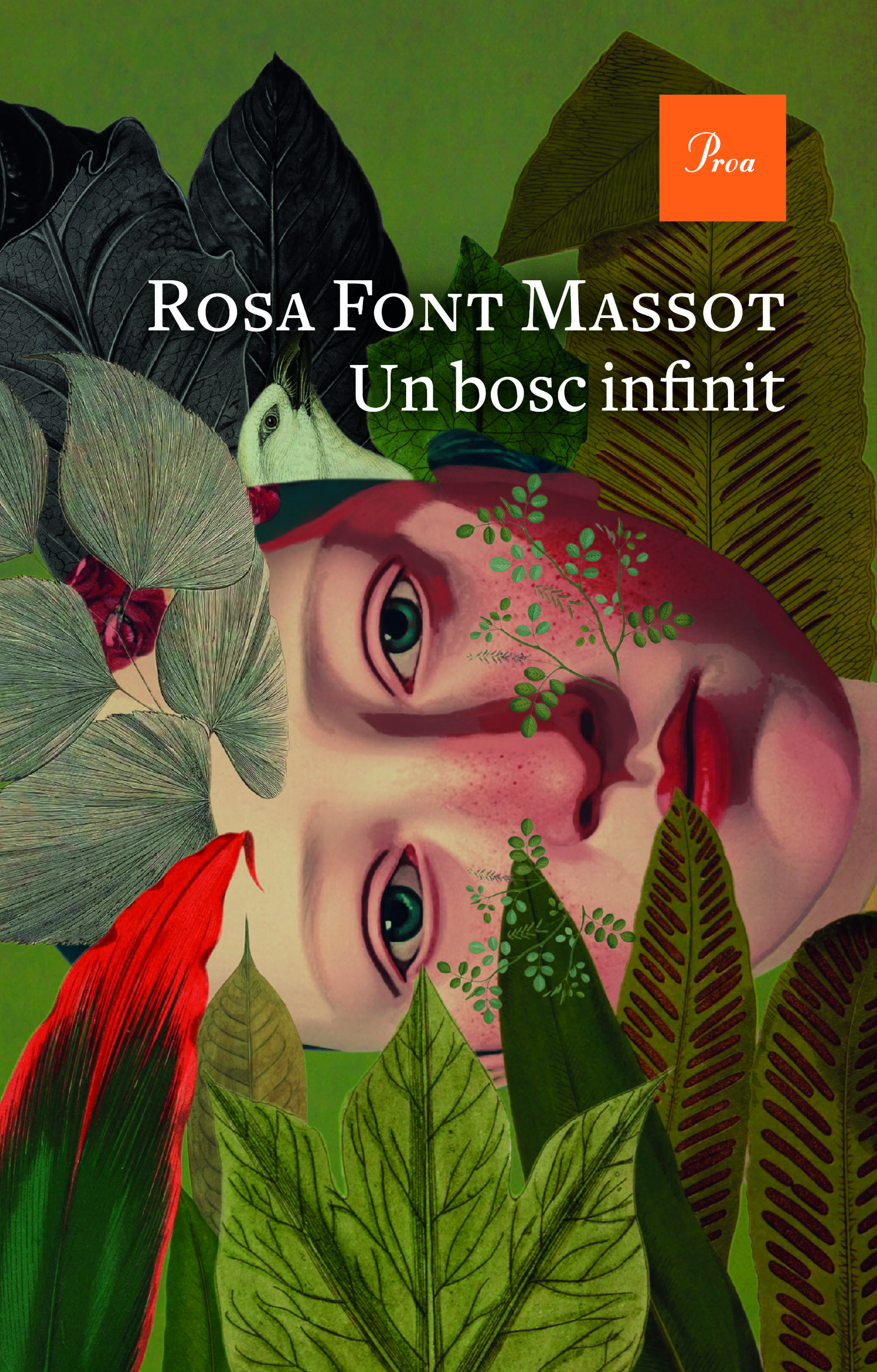 Un bosc infinit